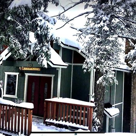 Hallelujah Forest Villa Big Bear Lake Ngoại thất bức ảnh